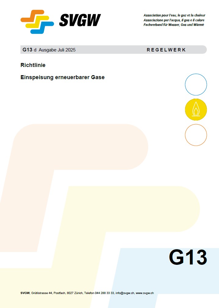 G13 d Richtlinie; Einspeisung erneuerbarer Gase