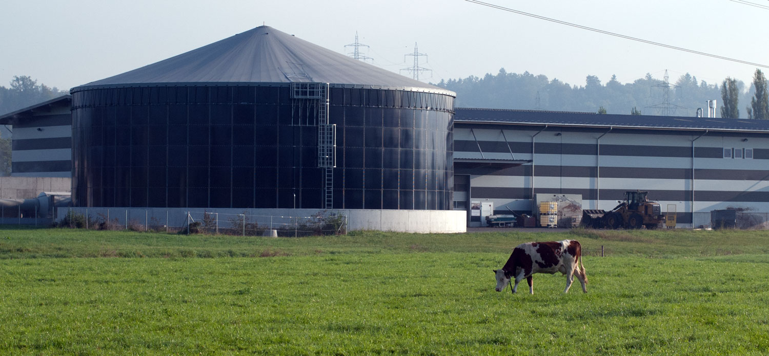 Gas rinnovabili e sostenibilità