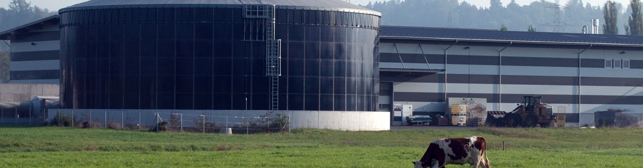 Biogasanlagen Biogasanlagen