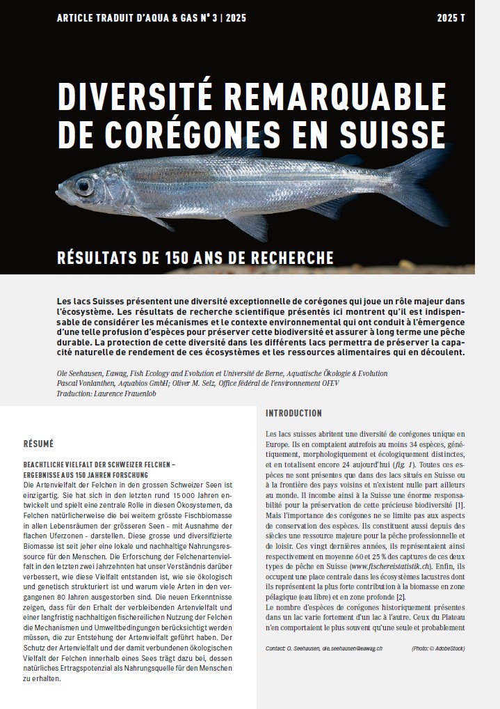 Aqua & Gas 03 | 2025 Extra 1