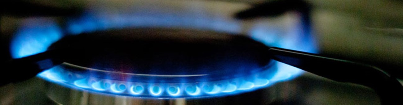 Inspektionen Inspektionen