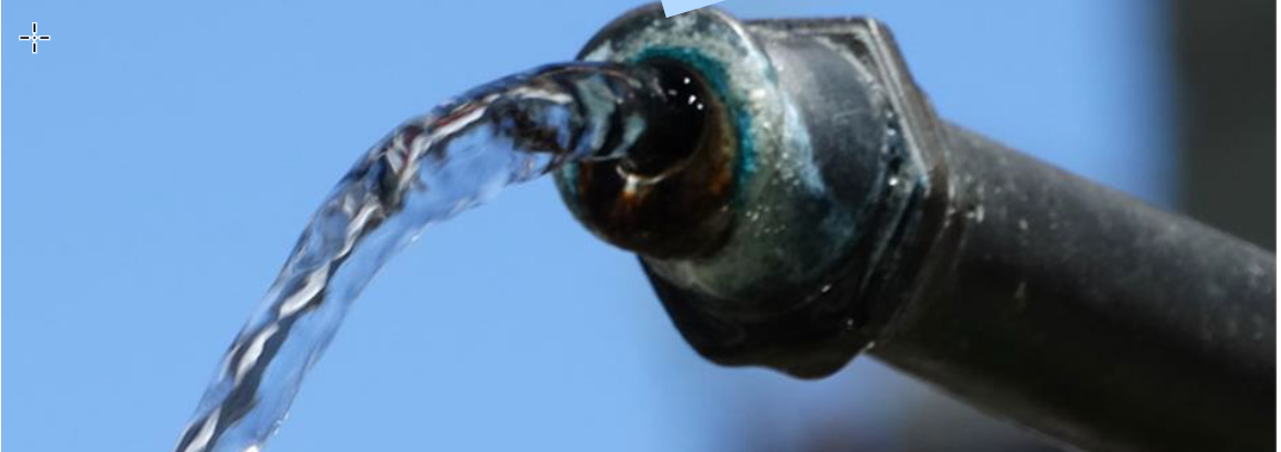 Webinar zu Chlorothalonil