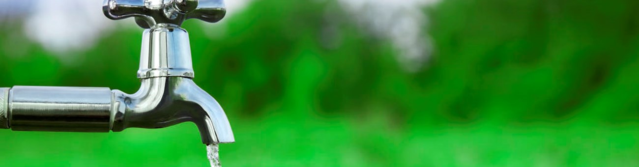 FAQ - Chlorothalonil FAQ - Chlorothalonil