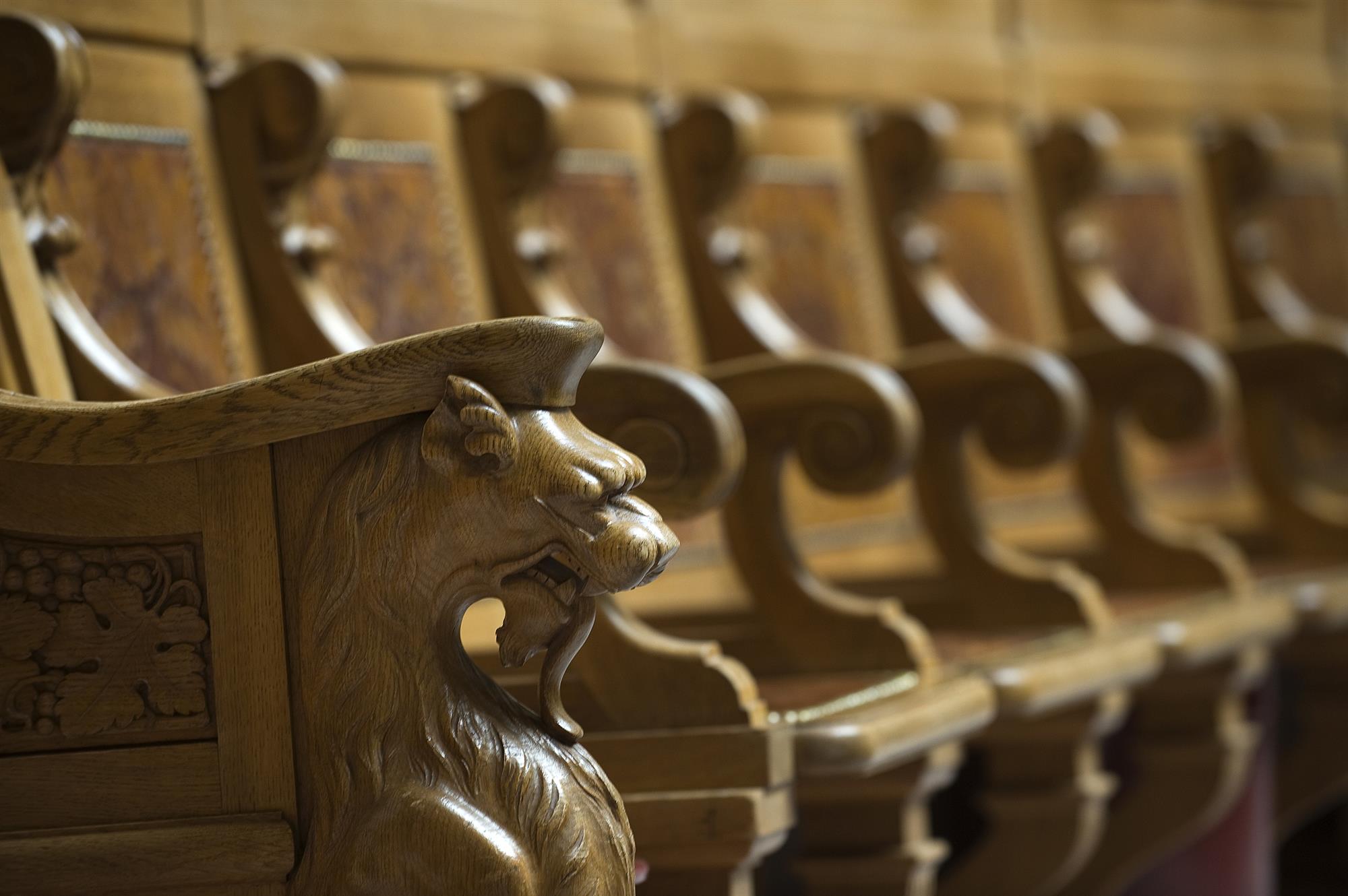 Interventi parlamentari e domande