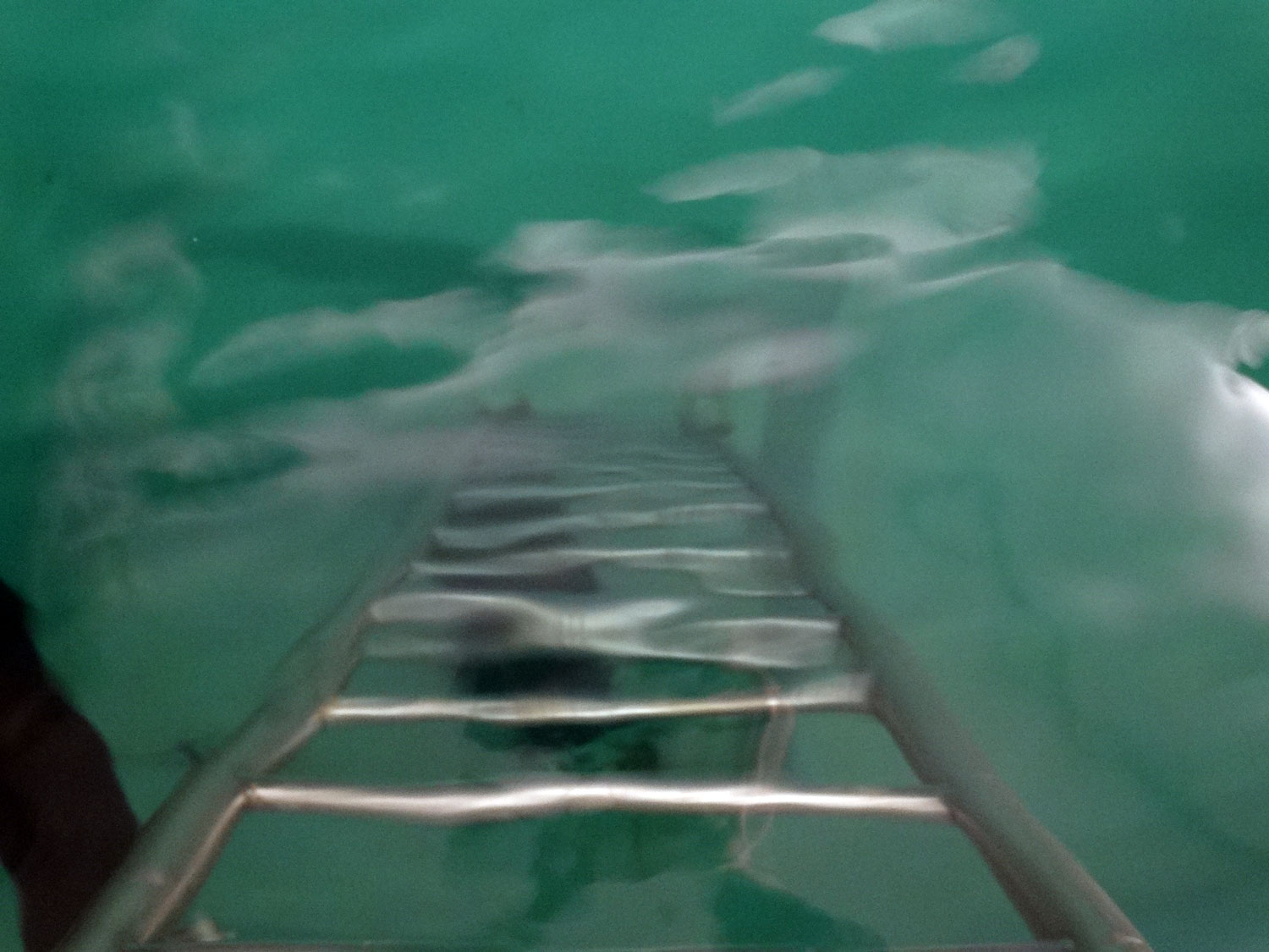 Stoccaggio e distribuzione