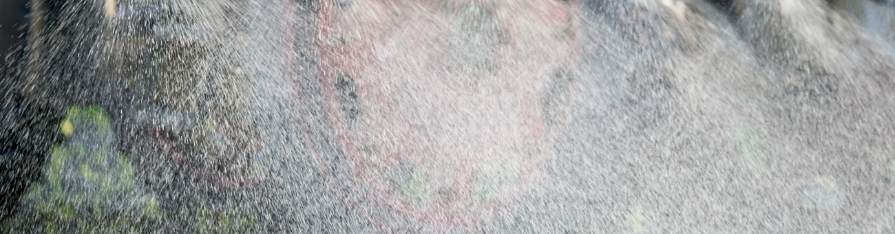 Chlorothalonil Chlorothalonil